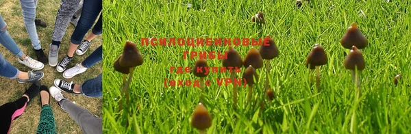 хмурый Ладушкин