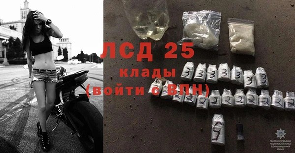 хмурый Ладушкин