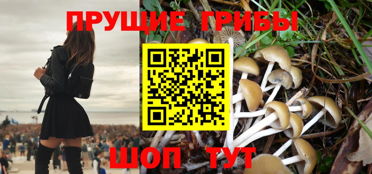где продают   Галлюциногенные грибы Psilocybe  Вход с VPN  Находка 